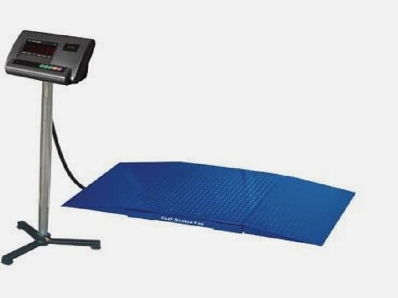 Heavy duty Floor scale with Ramps